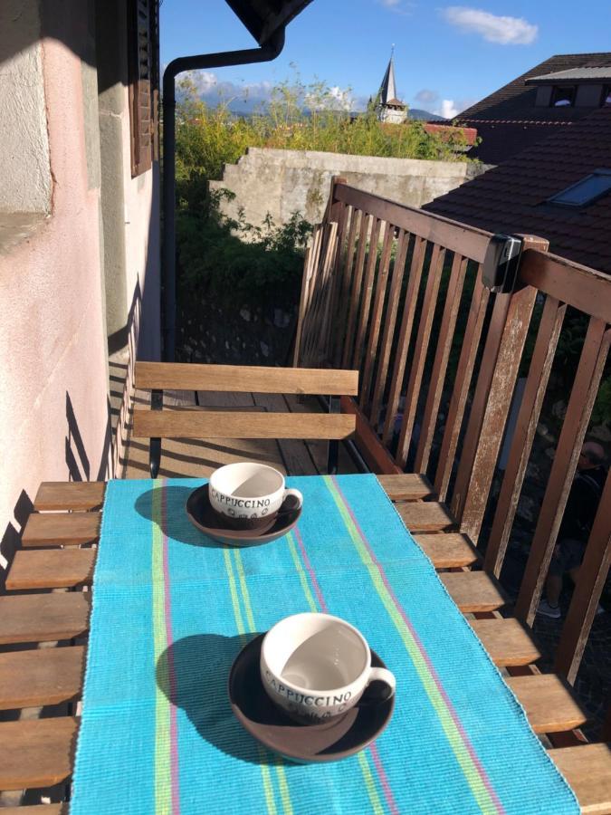 Appartement Dans La Vieille Ville, En Face Du Chateau Аннесі Екстер'єр фото
